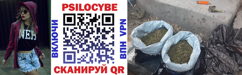 omg ссылка  Реутов  Псилоцибиновые грибы Cubensis 