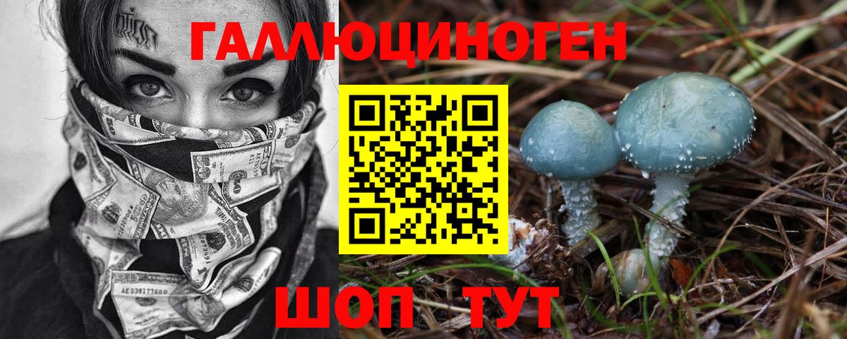 Реутов  Псилоцибиновые грибы Cubensis  Вход с VPN 